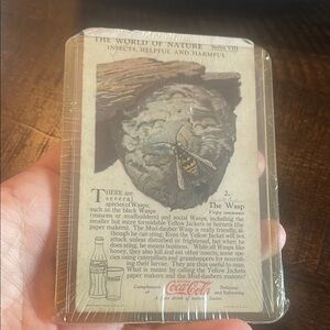 Coca-Cola Nature‎ Series Card with Wasp Illustration vintage